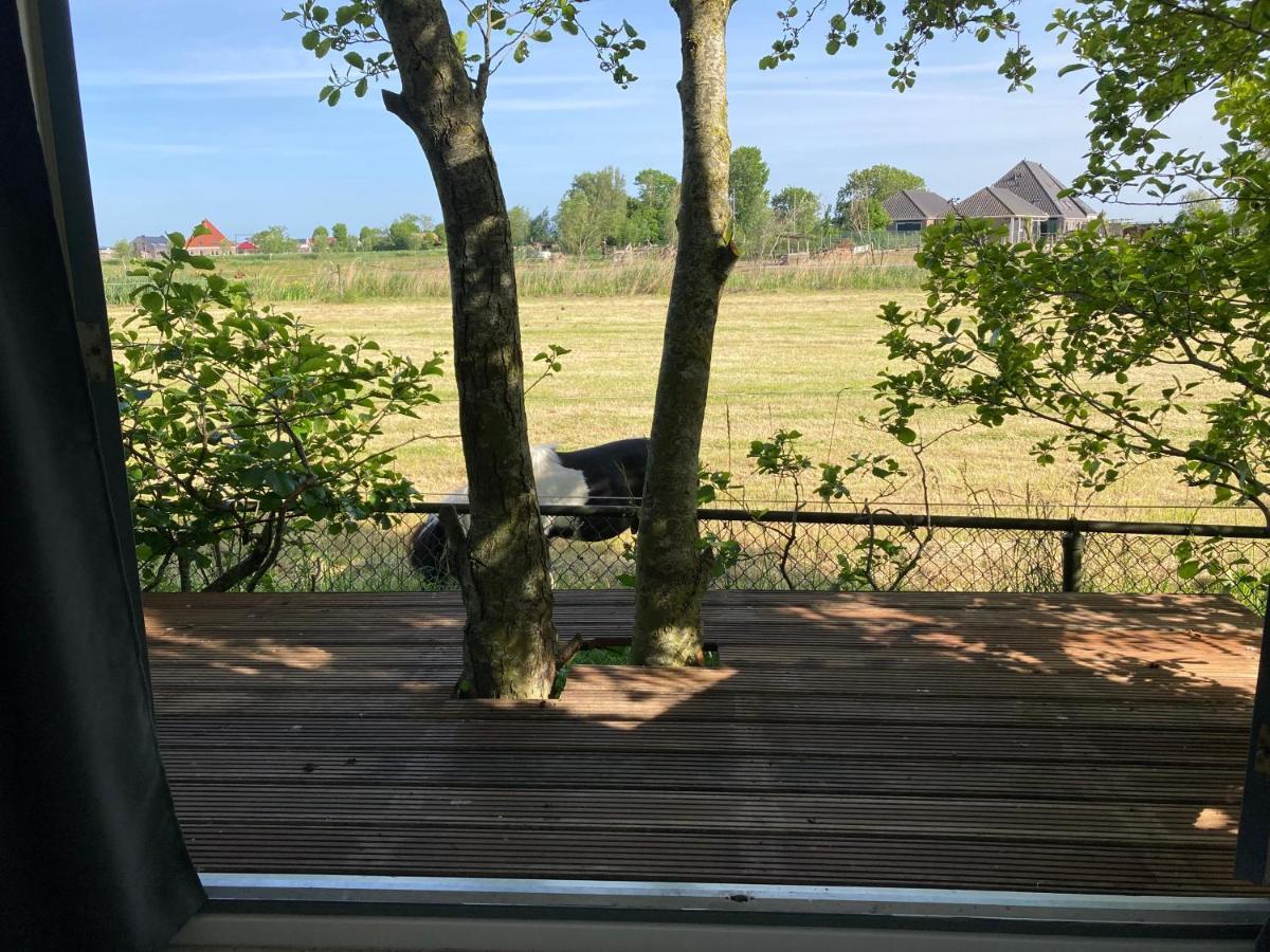 Het Oude Strandhuis Uitgeest Exterior foto